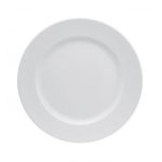 SPIRIT DINNER PLATE 28