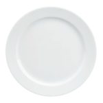 FORM 898 PLATE FLAT W/RIM 24CM