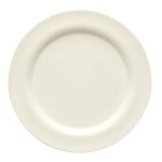 GENERATION PLATE FLAT W/RIM 20CM