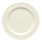 GENERATION PLATE FLAT W/RIM 24CM